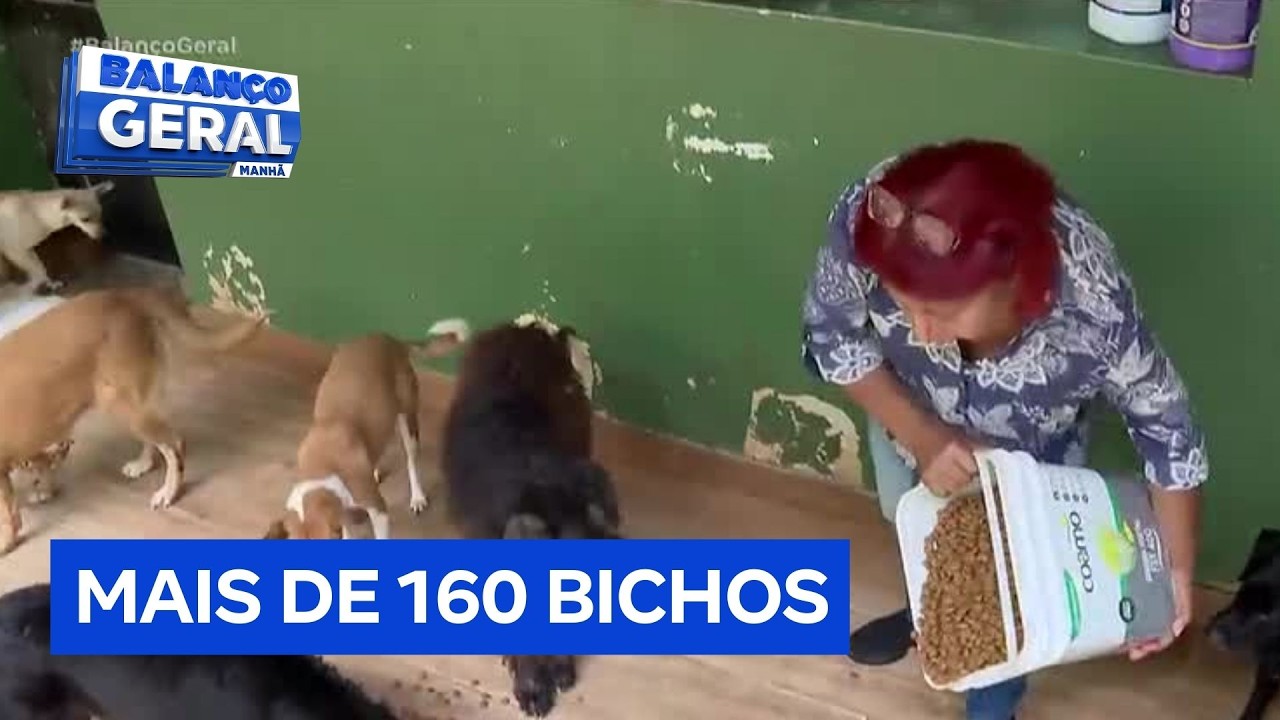 Idosa resgata e cuida de 160 animais abandonados em São Paulo
