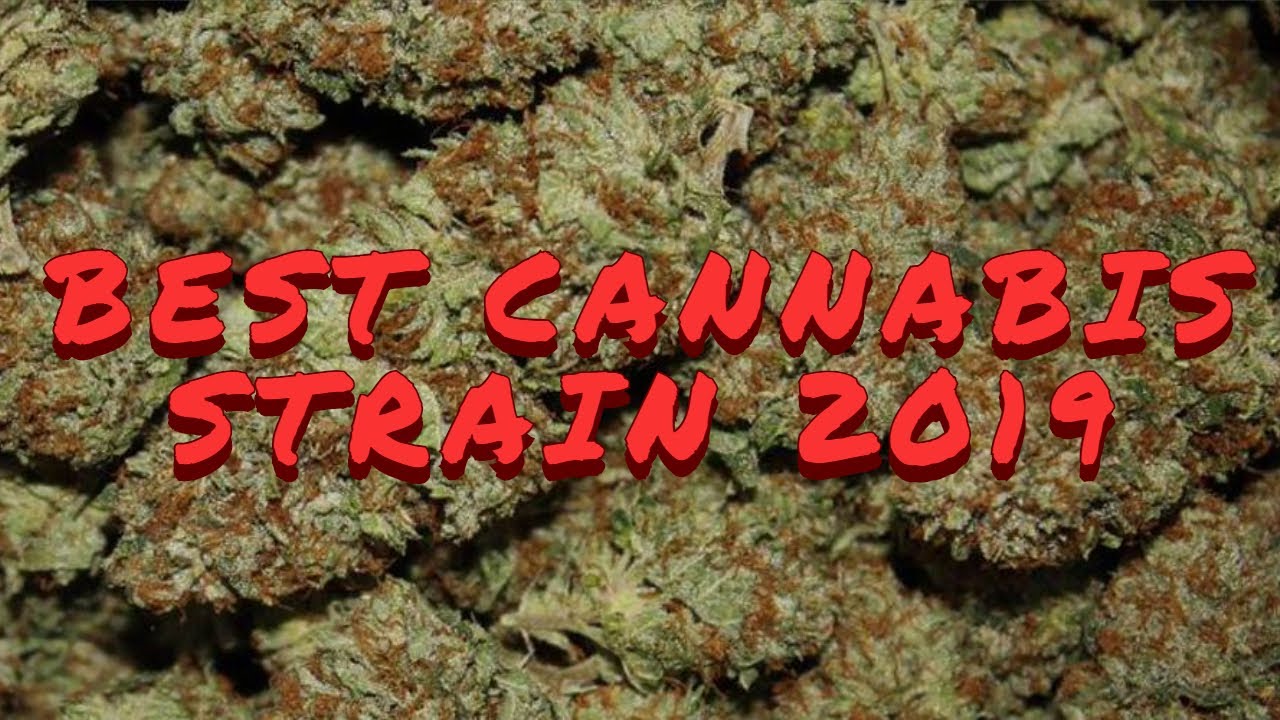 TOP CANNABIS STRAIN / Ultimate Video Compilation
