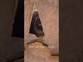 في غدير خم ب يعة ت نشد الوفاء وت جد د الولاء علي صراط حق