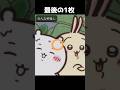 念願のカメラで #shrots #ちいかわ #ハチワレ #うさぎ