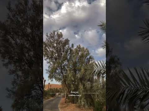 تمشي بالسيارة مع شيلة في المزارع مزرعه غيوم