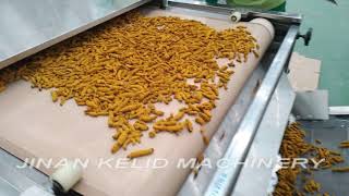 Microwave Turmeric Drying Machine