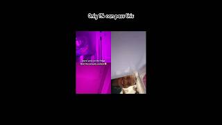 Just try 🟦🟪🟥#videooftheday