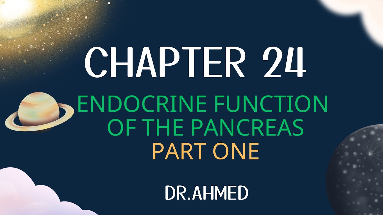 فسلجة | بلاد الرافدين | الوزاري | المحاضرة الثامنة بارت اول |  دكتور احمد حازم | چابتر 24