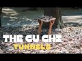 Crazy experience at the cu chi tunnels  get your guide day tour