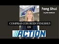 Compras con buen Feng Shui en Action