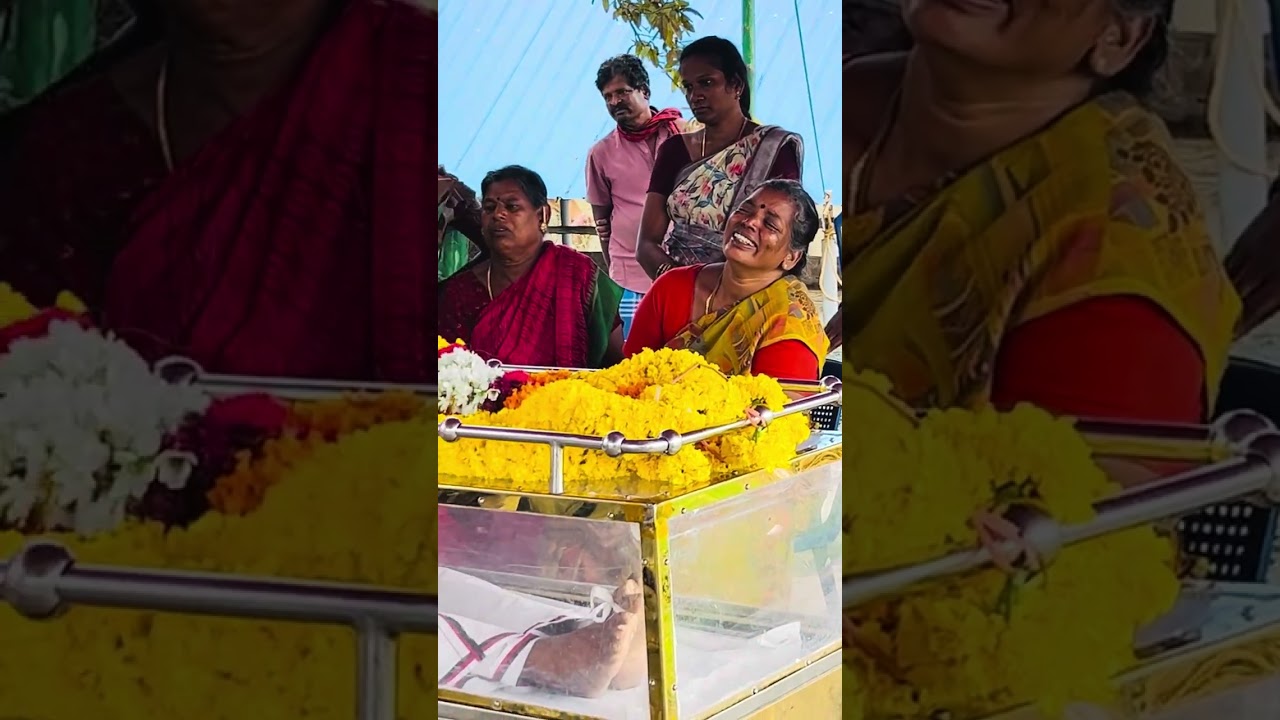 # வரிகளை கேட்டு கதறும் மகள் 😩😩😭😭🥺🥺💥🥁