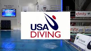 Celebrity 2018 USA Diving Senior National Championships Mens 1 meter Final Net Worth