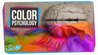 Does Color Really Affect How You Act? screenshot 4