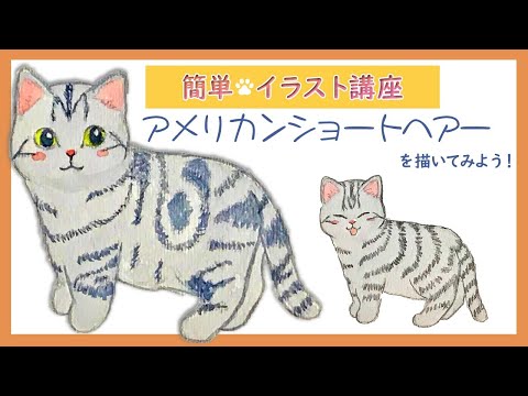 簡単 初心者向けイラスト】アメリカンショートヘアーを描いて