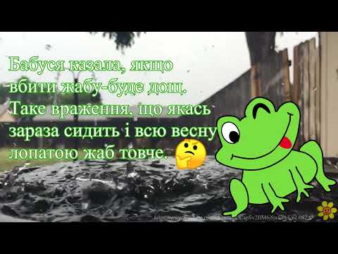 Смішний анекдот українською/Сонячного настрою та гарного дня/Позитивчик для друзів