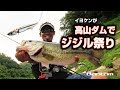 BANTAM Ch. 伊豫部健　高山ダムでジジル祭り！