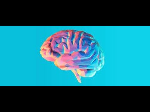 This 15–30 Minute Routine Makes Your Brain Healthier, Younger, And ...