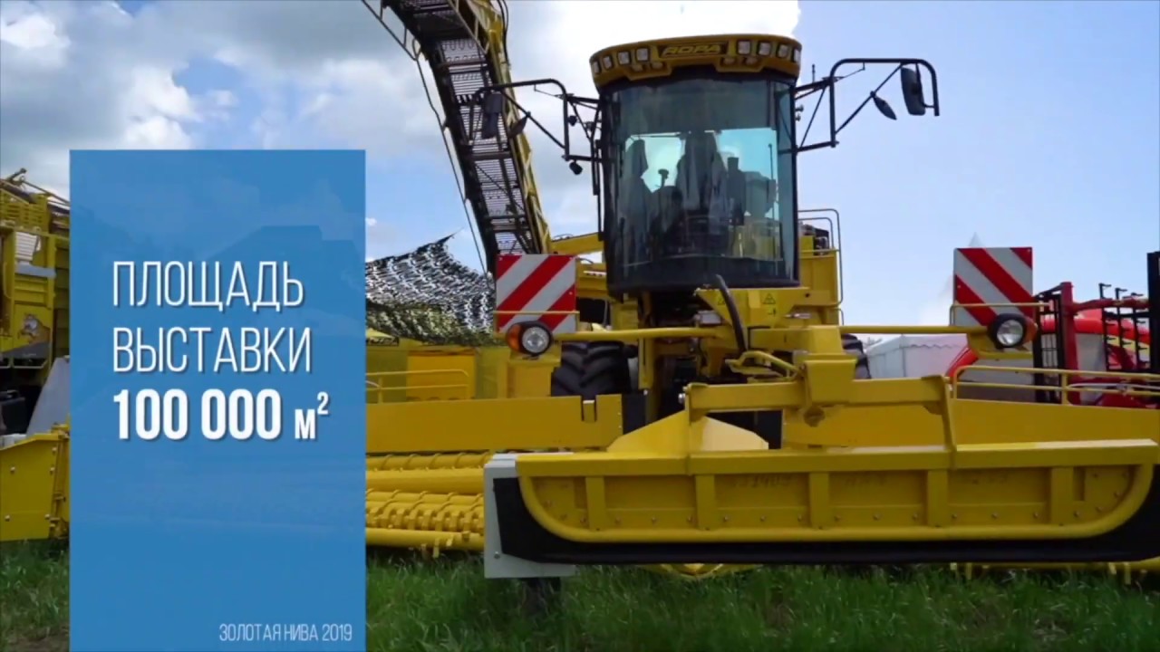 Рп5 золотая нива оконешниково Рп5 золотая нива оконешниково