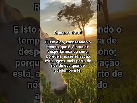 Versículo da Bíblia #deus #mensagensdivinas #jesus #fe #amor #frasemotivacao #mensagem #frases