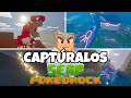 Cómo capturar a todos los legendarios (Serp Pokedrock Addon guia)