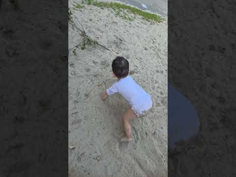 ديري ياويلي ديري وارمي العفن بالبيري