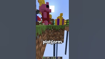 Minecraft, But My Followers Decide What I Build!