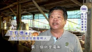 養豬篇中文20170423