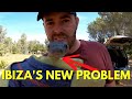 Snakes Are A Plague On Ibiza