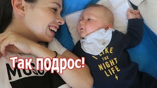 VLOG: Вова подрос / Некогда расслабиться VLOG: Вова подрос / Некогда расслабиться