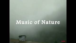 _ Musica de la Naturaleza _ موسیقی برای طبیعت