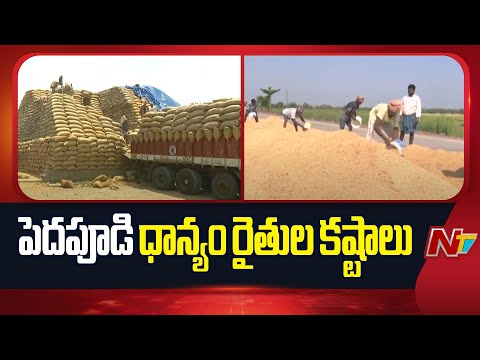 Kakinada: పెదపూడి ధాన్యం రైతుల కష్టాలు | NTV Telugu - NTVTELUGU
