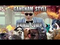 Psy  gangnam style animal cover