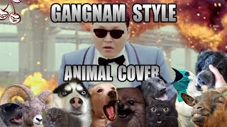 Psy - Gangnam Style Animal Cover