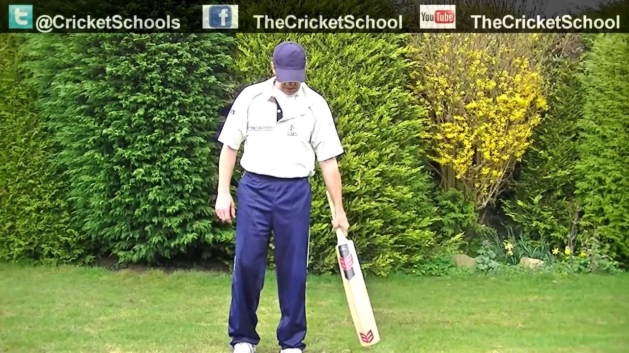 Buying Cricket Bats & The Difference Between Kashmir Willow & English