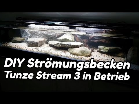 diy strömungsbecken tunze stream