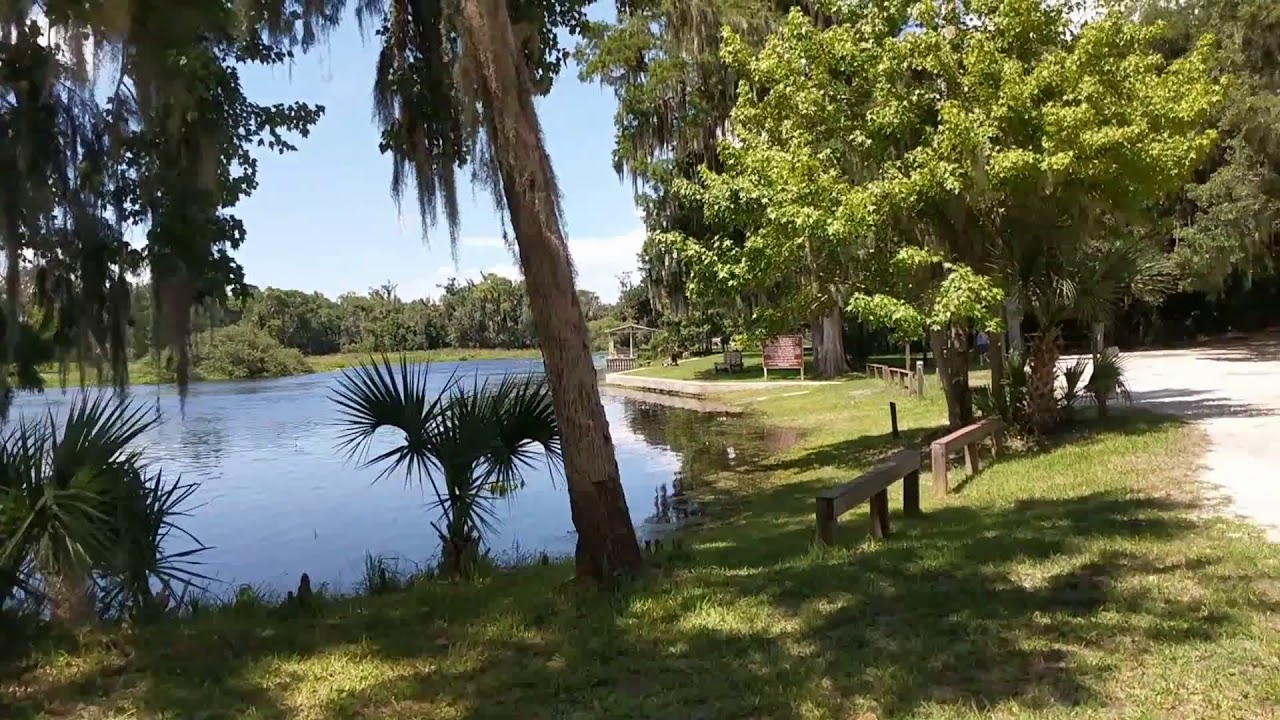 Wekiva River Lower Falls, Katie's Landing, Sanford, Florida YouTube