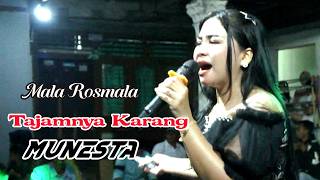 Mala Rosmala (Lyrics: As Sharp as Coral) Munesta Entertainment