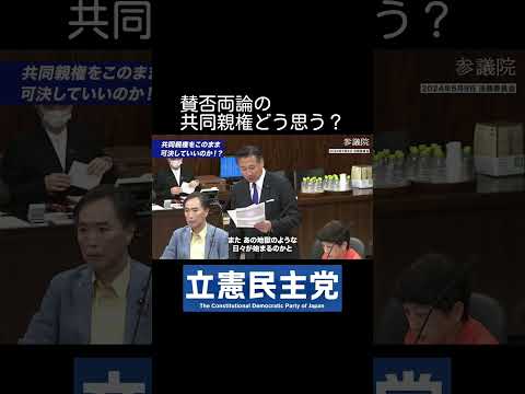 【共同親権】DV当事者としての経験を語る！【福山哲郎】