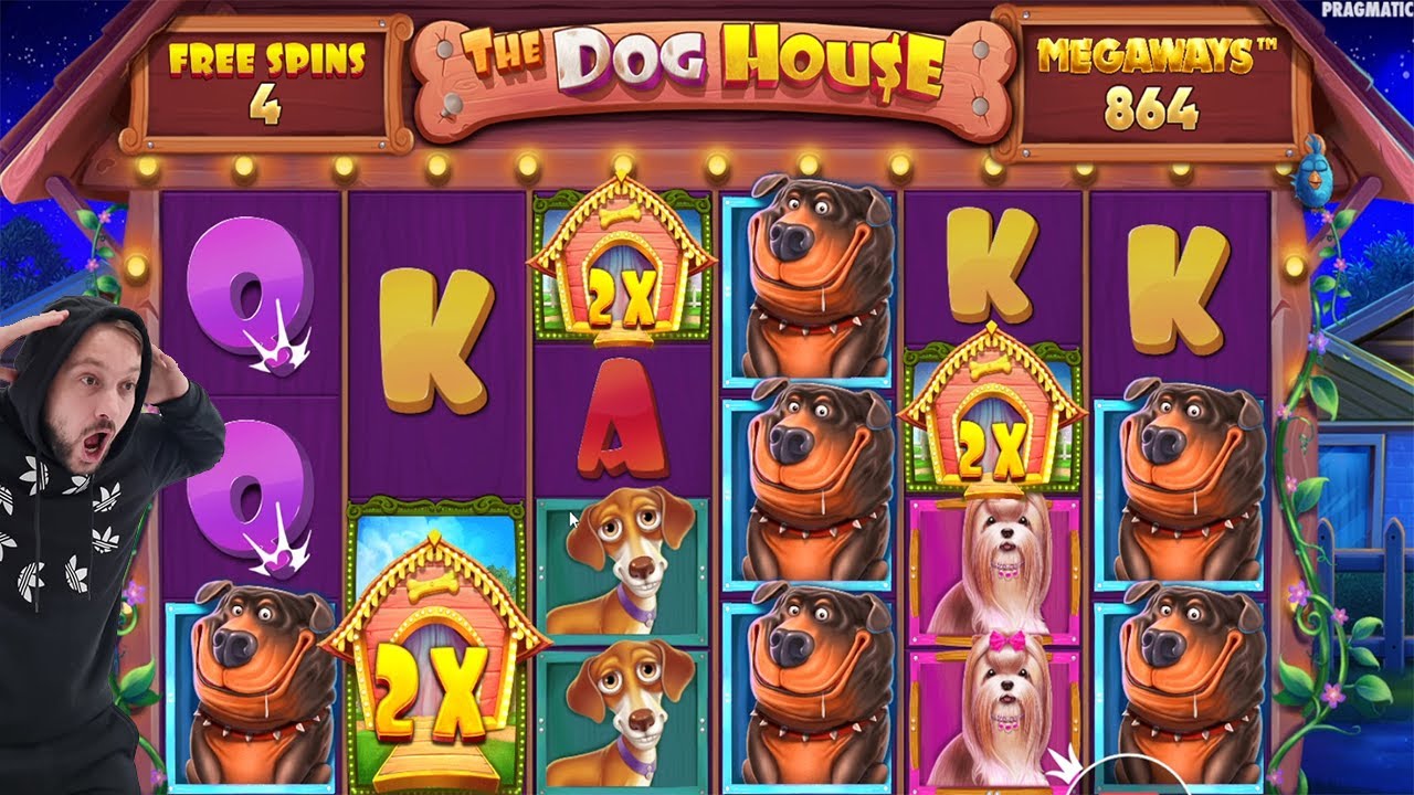 THE DOG HOUSE MEGAWAYS - BONUS BUY 5 SCATTERS 15 FREE SPINS - BIG WIN ...