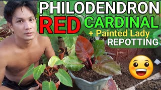 love your plants How to Raise a Plant (and Make It Love You Back)