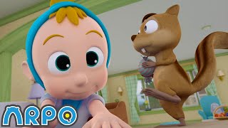 Squirrel Madness | ARPO The Robot Classics | Full Episode | Baby Compilation | Funny Kids Cartoons