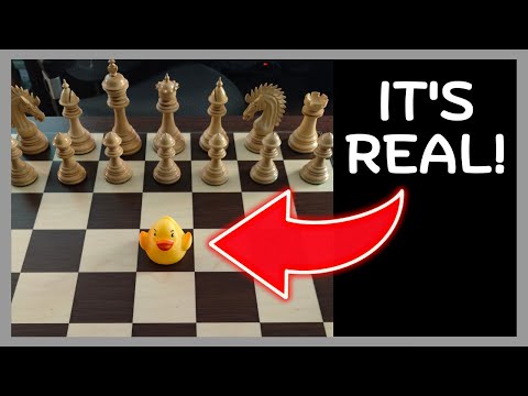 Real Life Duck Chess Challenge (Open To ANYONE) 