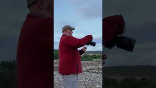 ICM movement technique example  #icmphotography