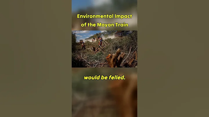 The Maya Train: Environmental Impact #mexico #railway