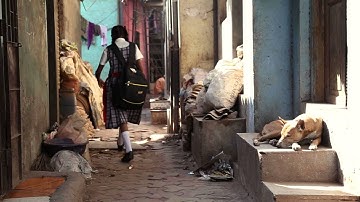 Creative Capital for a Sustainable World | Morgan Stanley