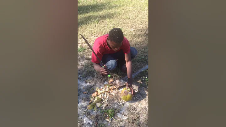 THIS IS HOW WE DO IT IN THE BAHAMAS, HATCHET BAY, ELEUTHERA, CHUCKING A COCONUT