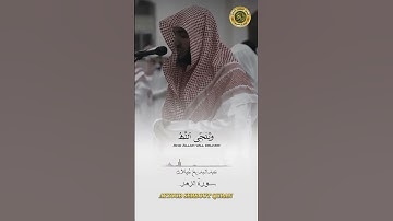 سورة الزمر الآية 59-60 تلاوة الشيخ عبد البديع غيلان