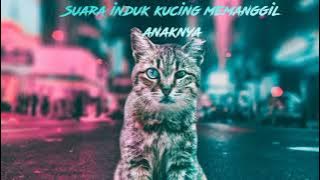 Suara induk kucing memanggil anaknya di jamin langsung datang 100%