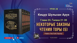 𝟐𝟖. (5) Некоторые законы чтения Торы | Кицур Шульхан Арух  23/21-30 | Рабби Лев Лэйб Лернер
