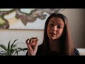 Tarantula Pre-Rolls from Ganja Gold – Leafly Reviews