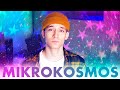 BTS - Mikrokosmos (russian cover ▫ на русском)