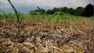 From the Field: Sustainable Agriculture in Lancaster County, Pennsylvania