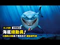 小醜魚為了找到兒子 差點被鯊魚吃掉 動畫電影 海底總動員1 小醜魚為了找到兒子 差點被鯊魚吃掉 動畫電影 海底總動員1