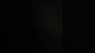 Mr. Wobbles song by Brandon Stevens